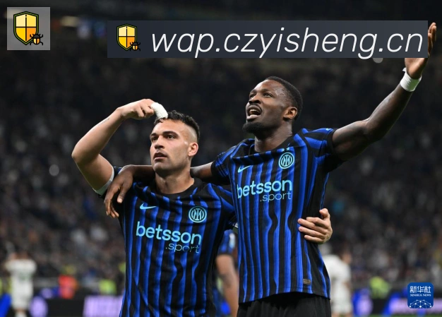 华体在线登录官网平台生态图