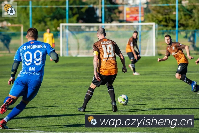 华体在线登录官网APP 封面图