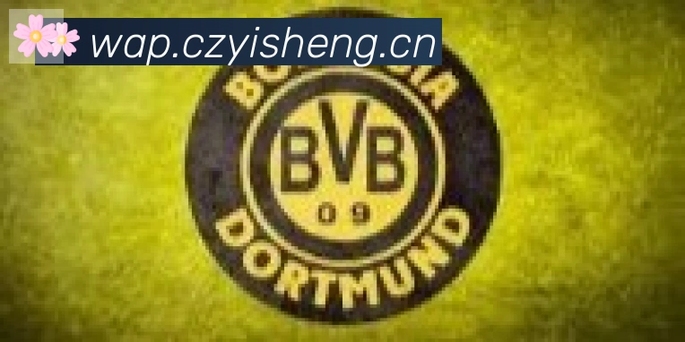 华体在线登录官网合作伙伴